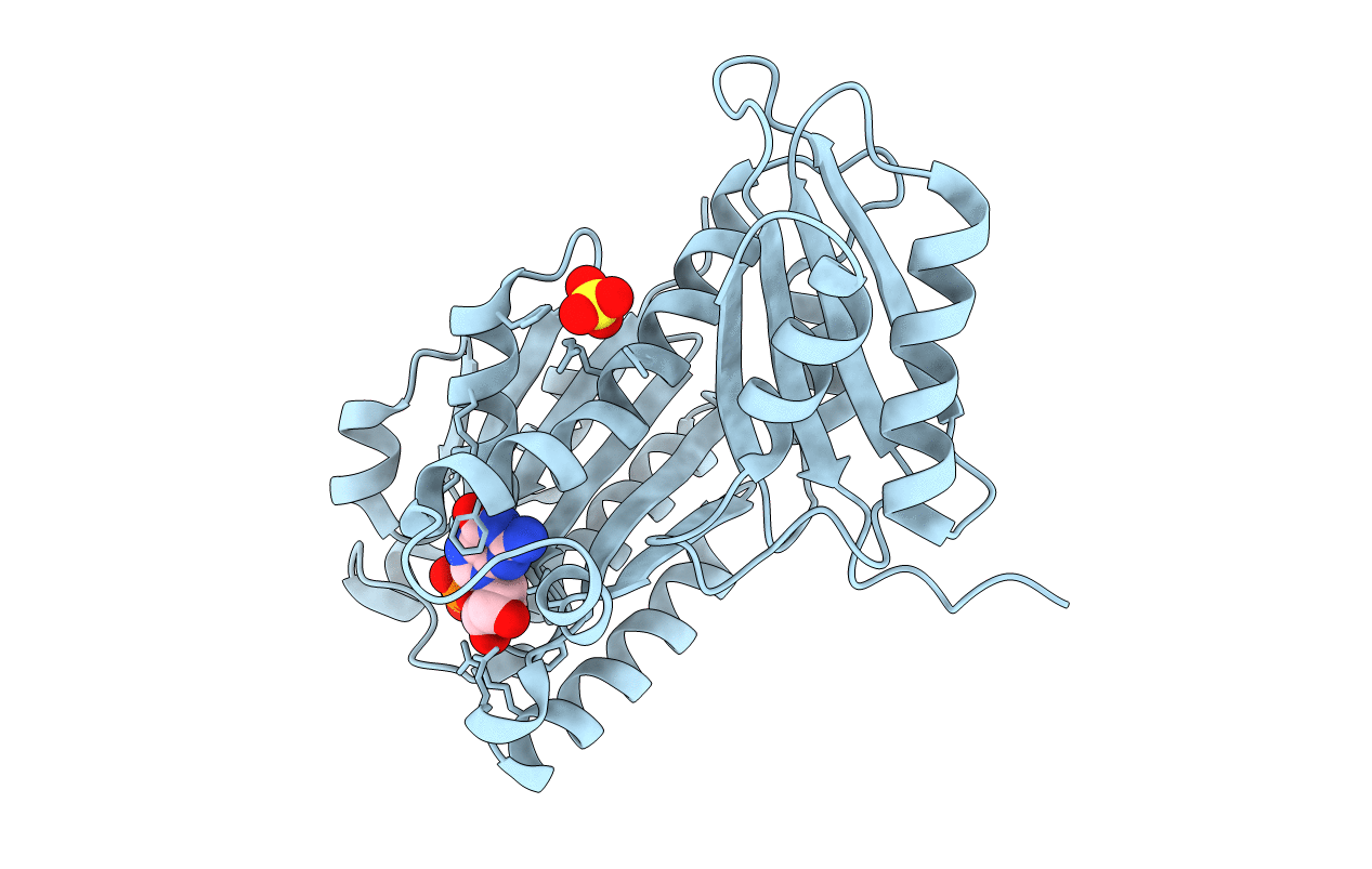 4M8I image