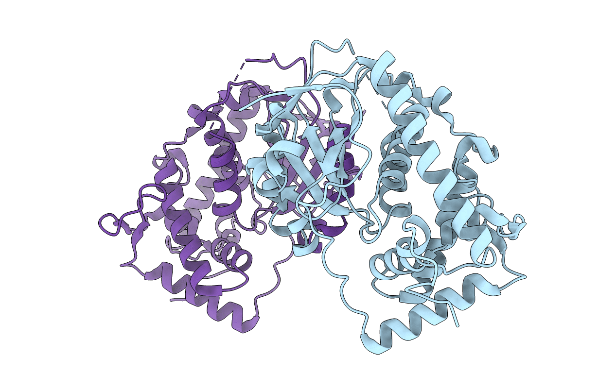 4M8Z image