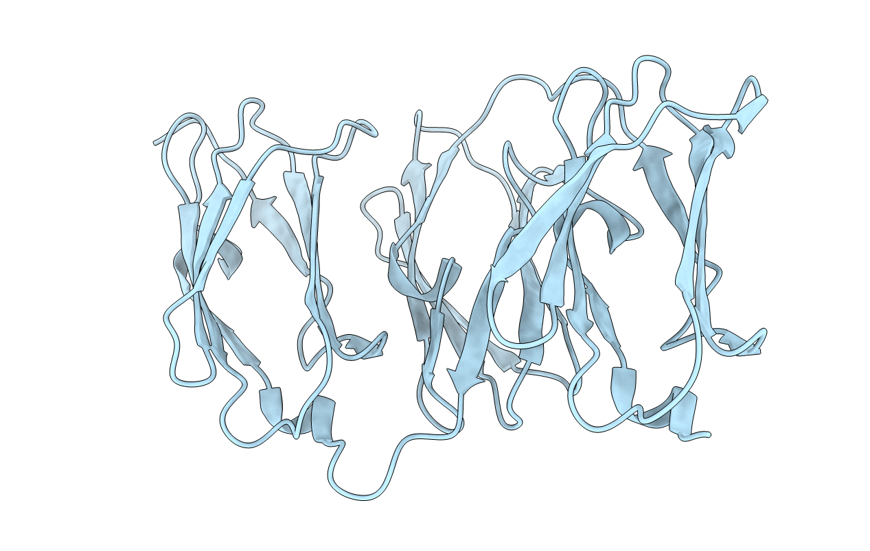 4M9P image