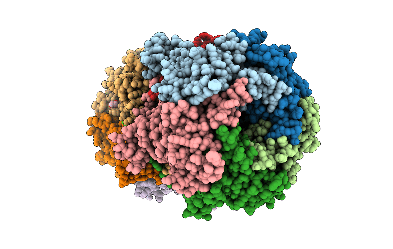 4MBX image