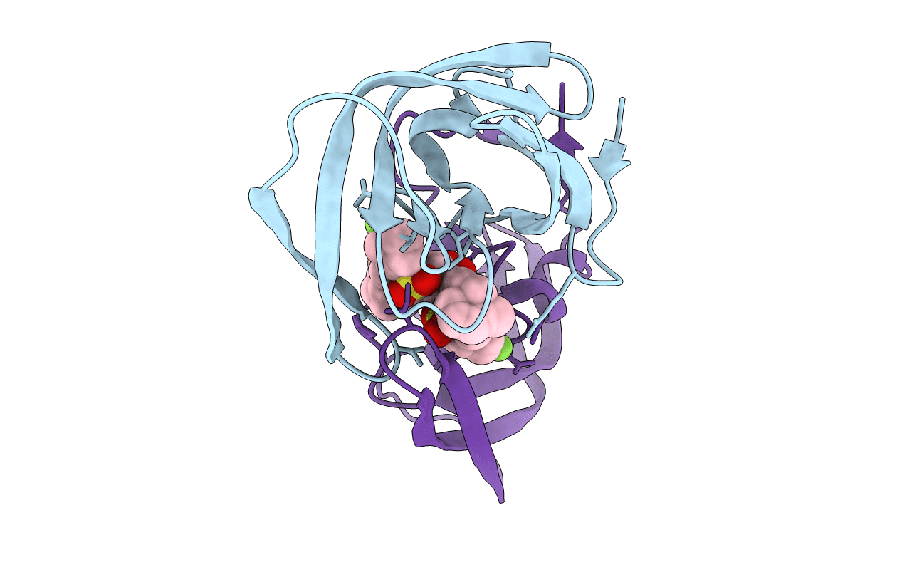 4MC2 image