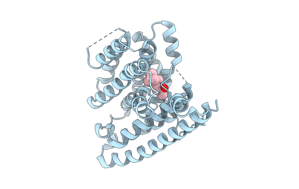 4MC3 image