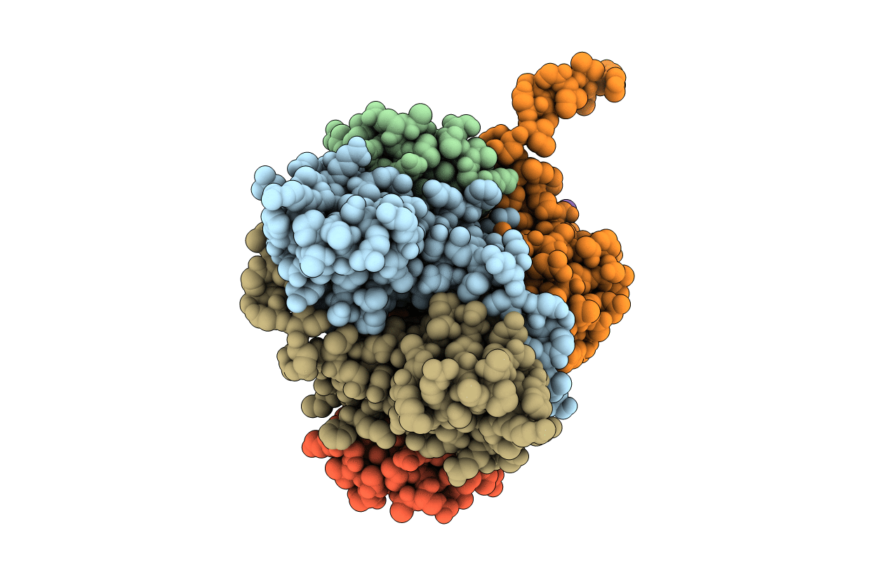 4MCX image