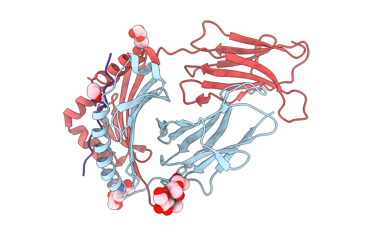 4MDJ image