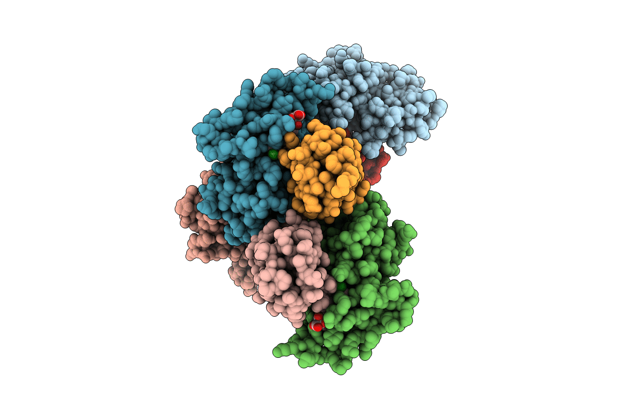 4MDK image
