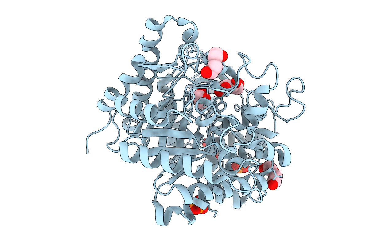 4MDP image