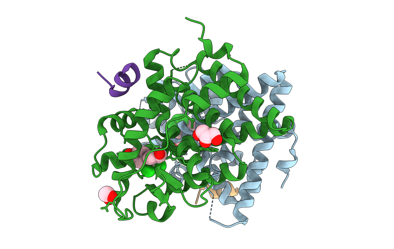 4MGD image