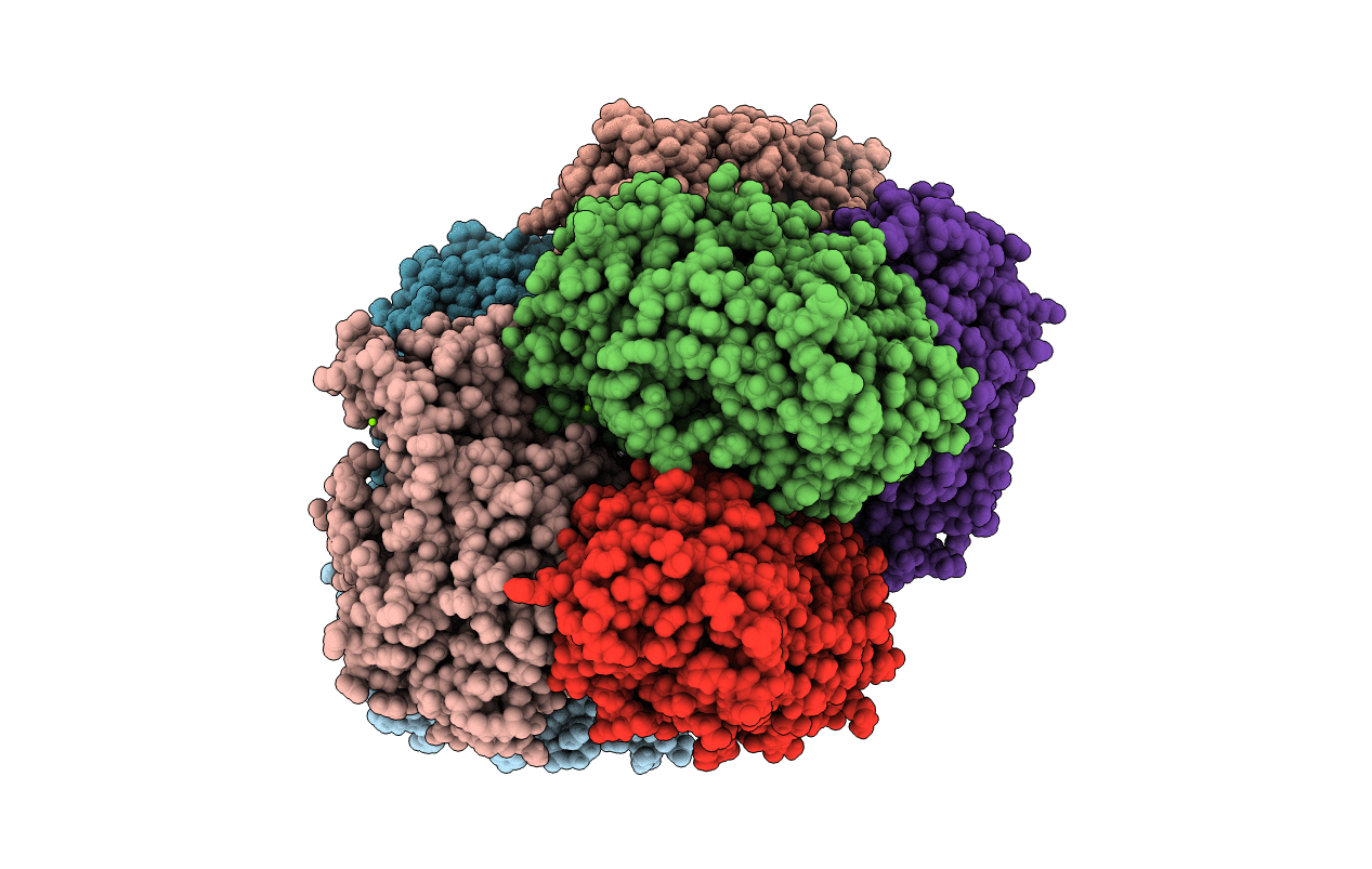 4MGG image