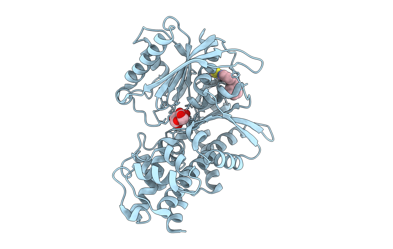 4MLE image