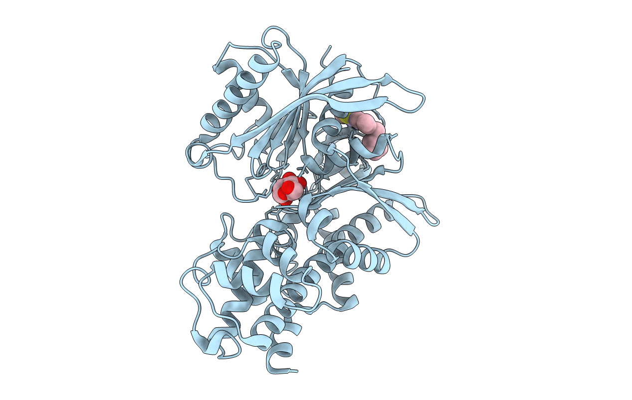 4MLH image