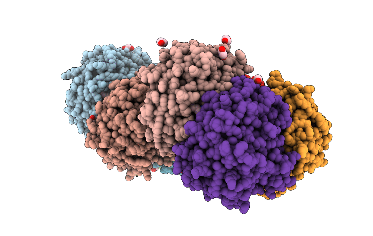 4MLR image