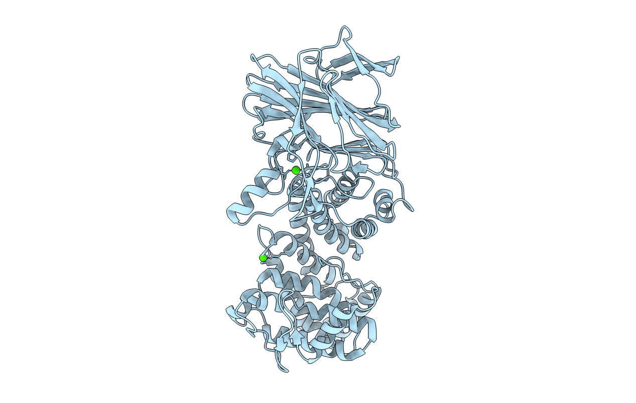 4MMH image