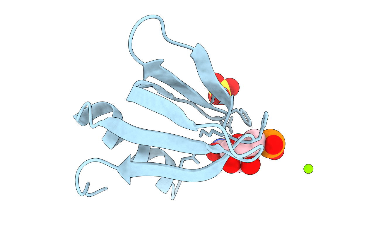 4MML image