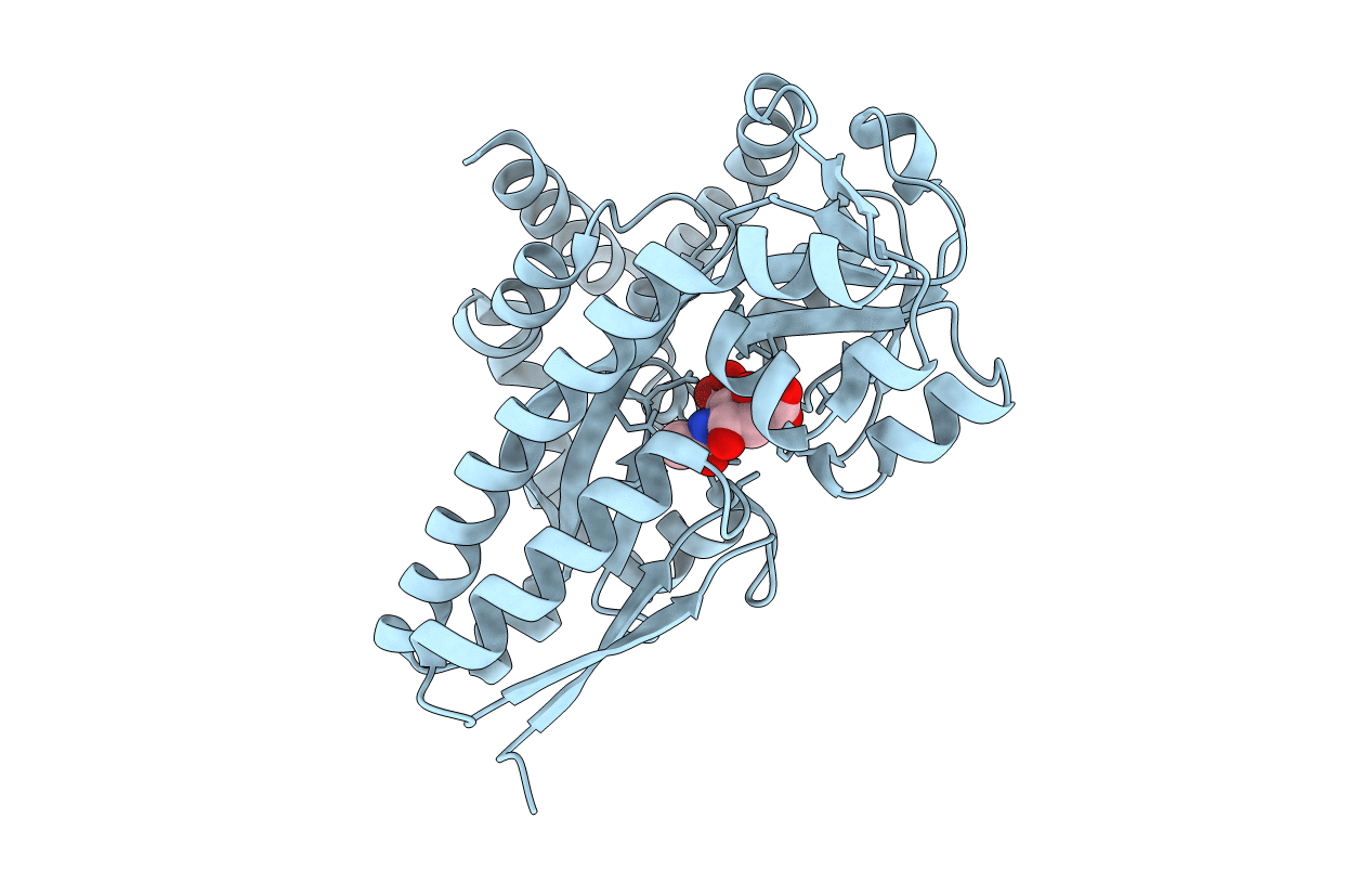 4MMP image