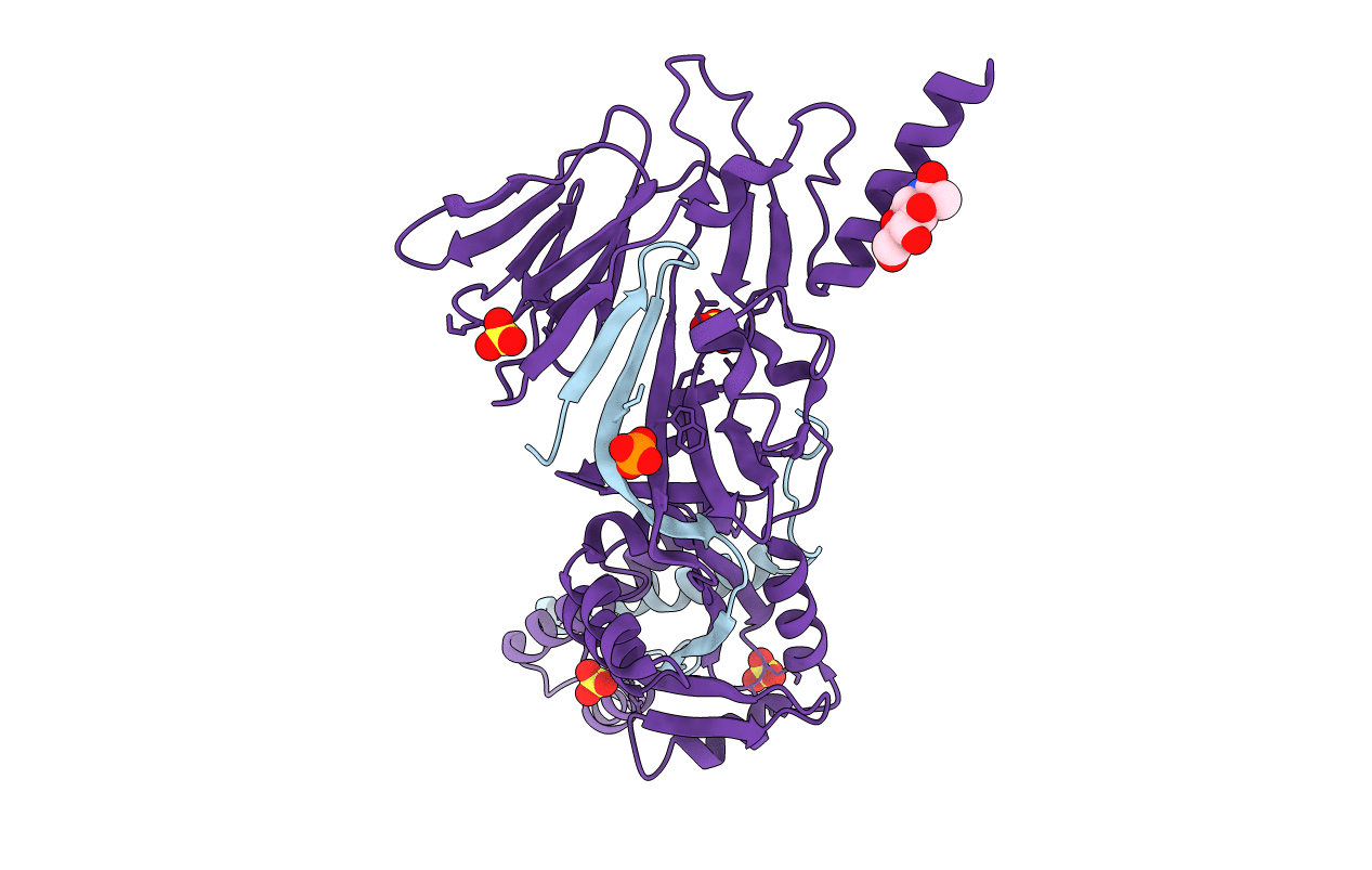 4MMU image