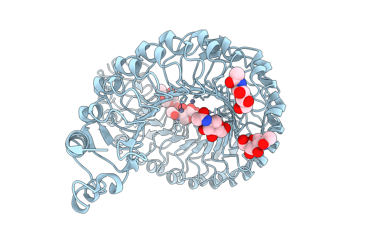 4MNA image