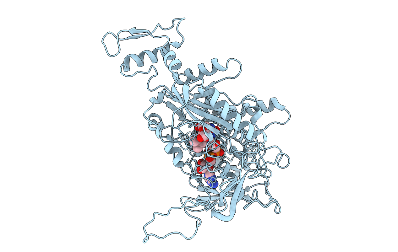 4MOF image