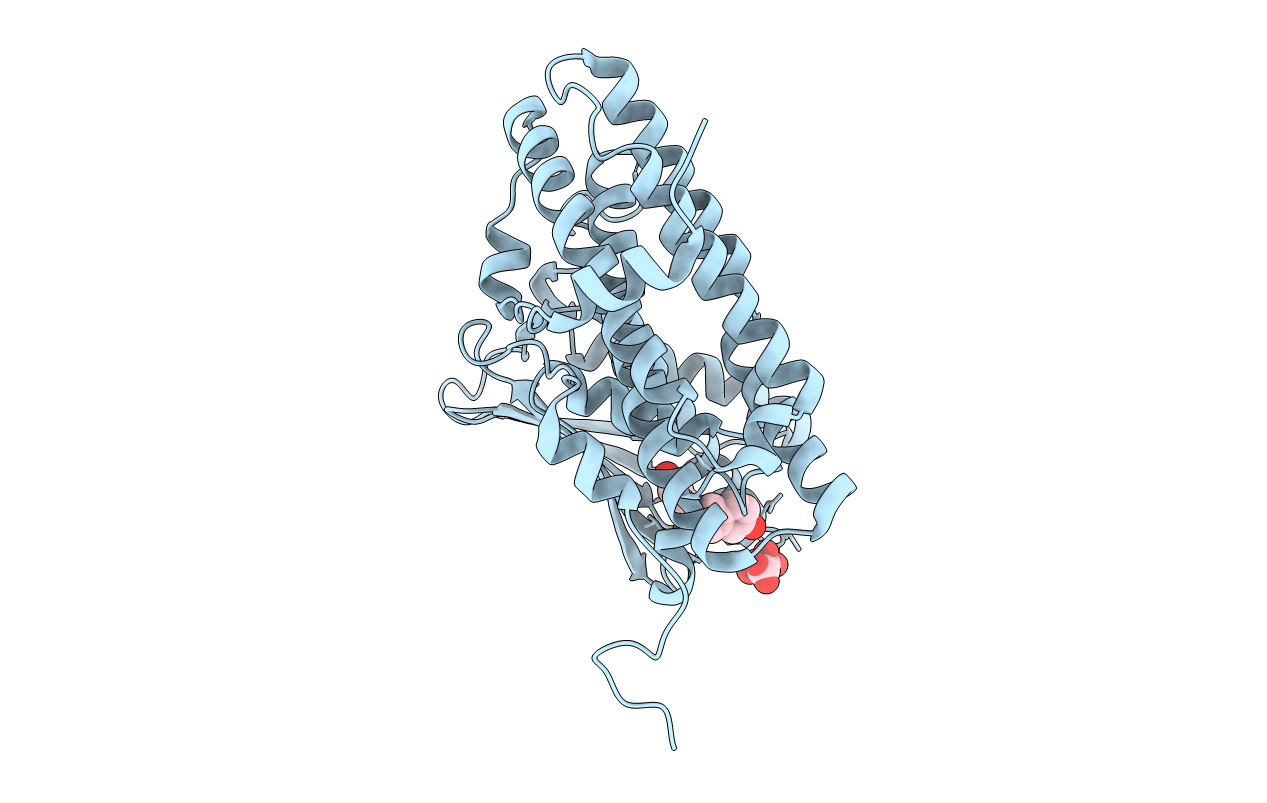 4MPE image