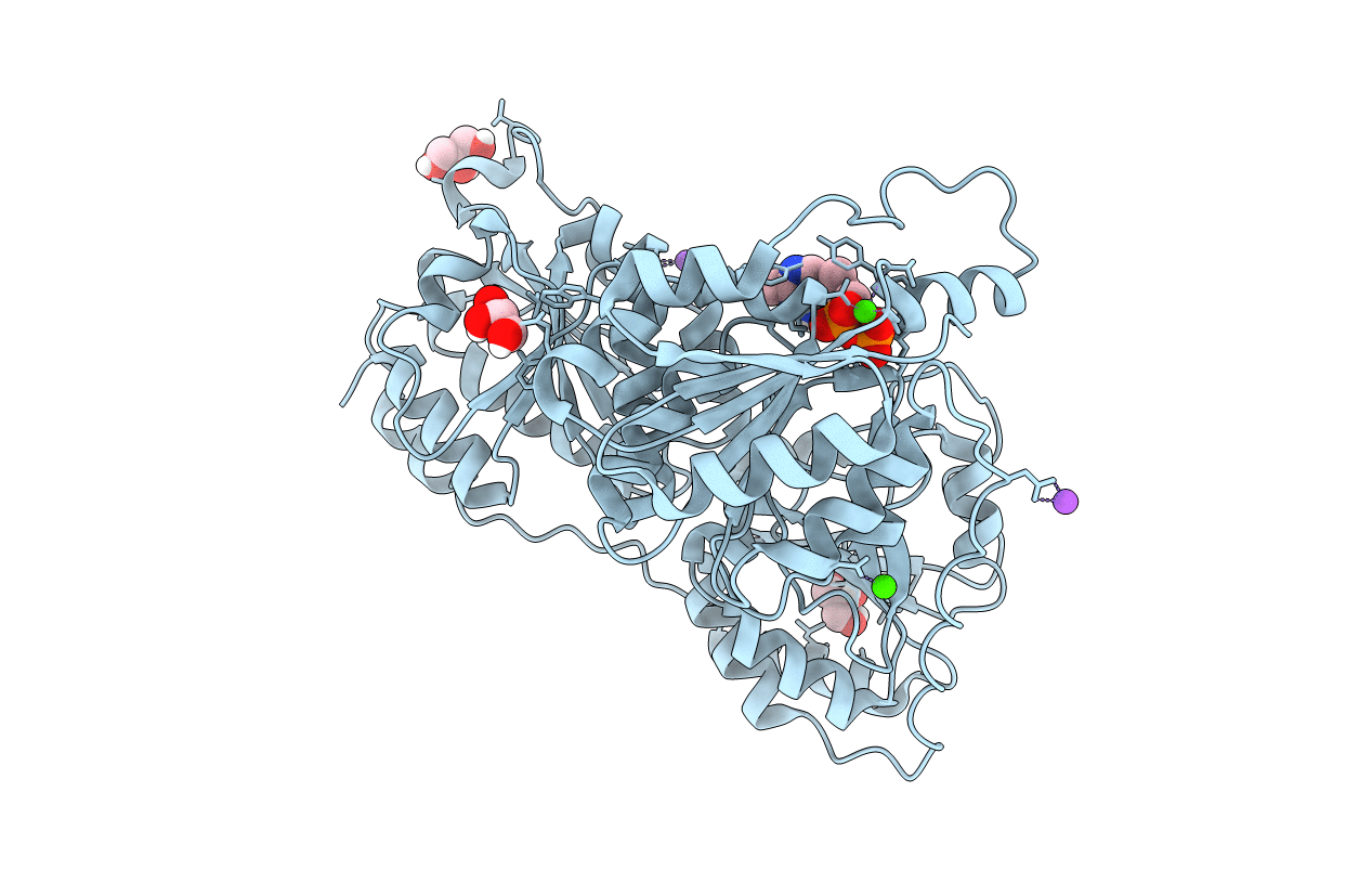 4MPP image