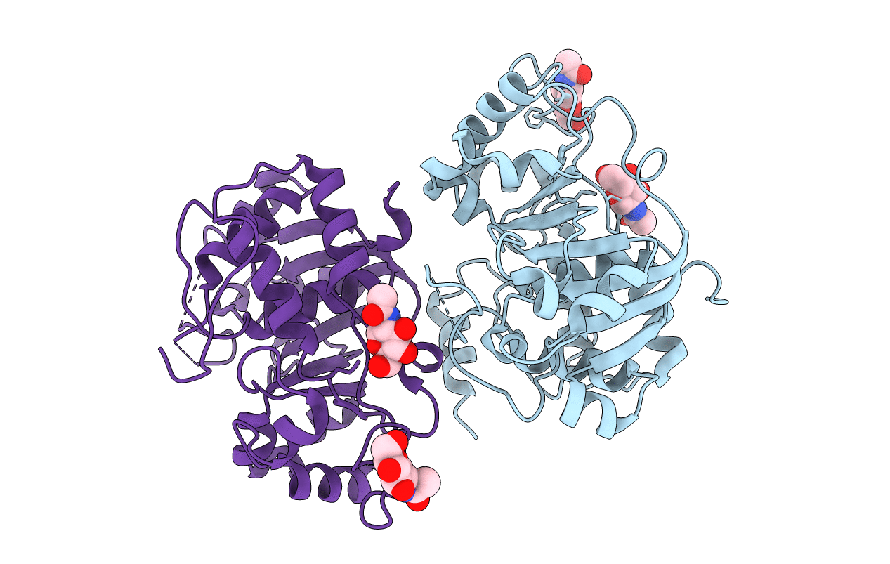 4MPS image