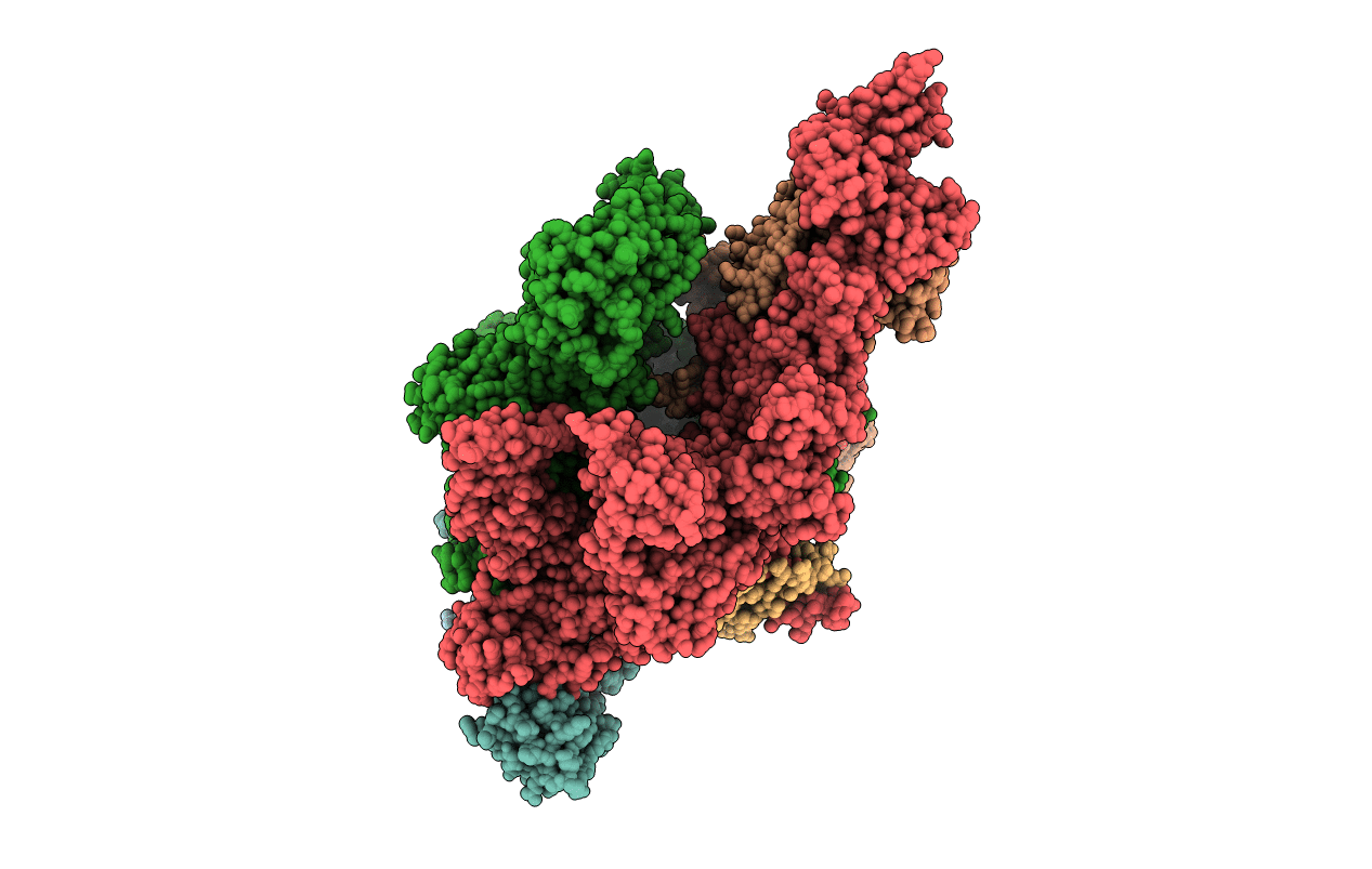 4MQ9 image