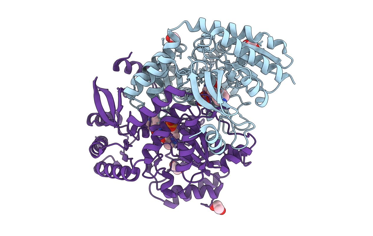 4MQR image