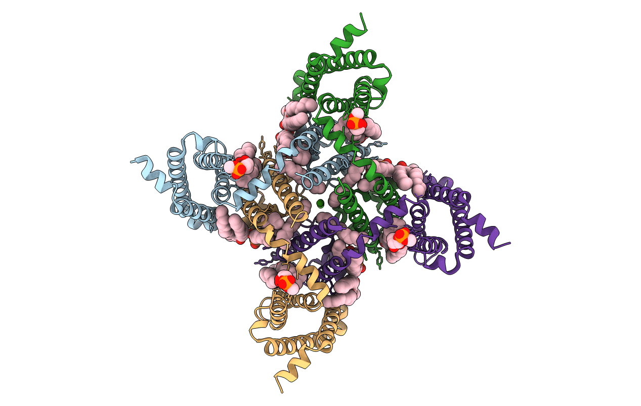 4MS2 image