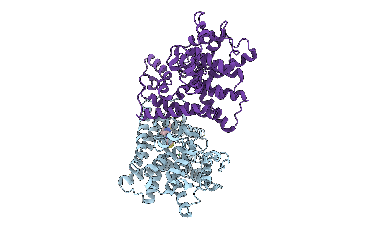 4MSE image