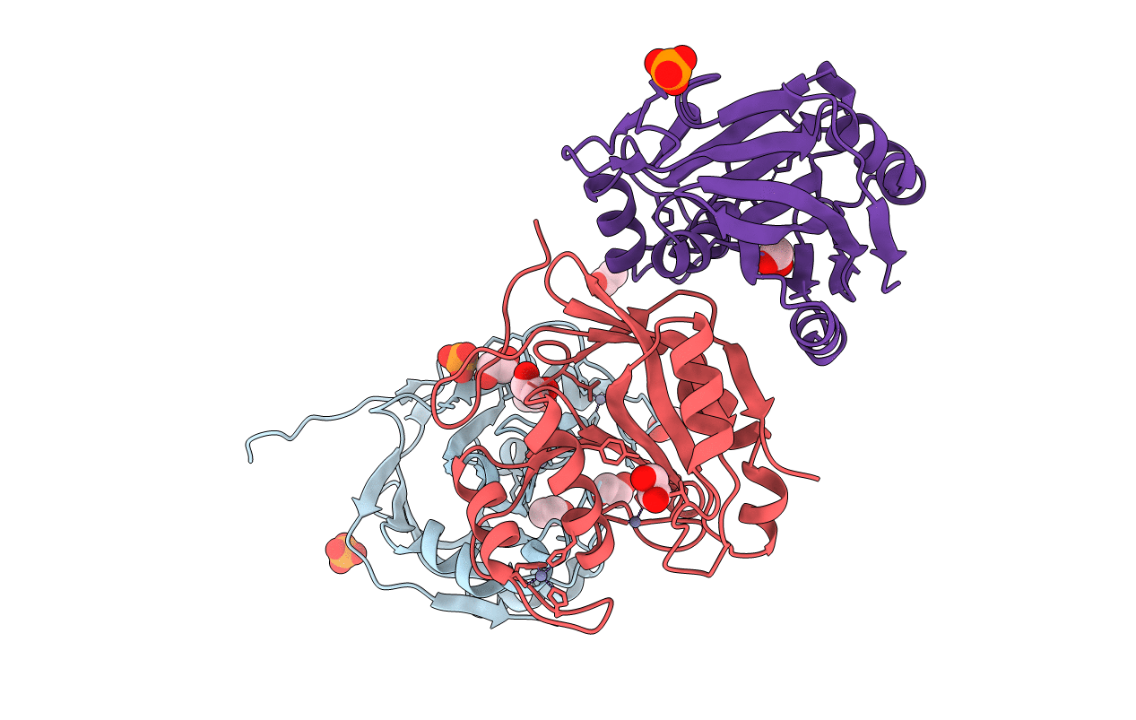 4MSJ image