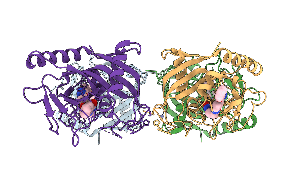 4MSK image