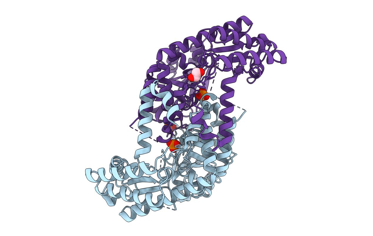 4MSO image