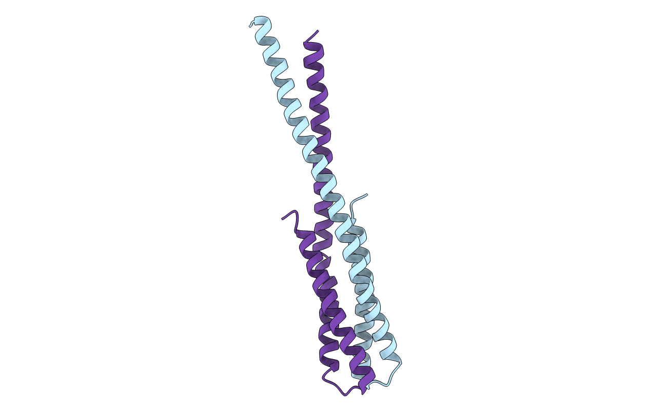 4MT8 image