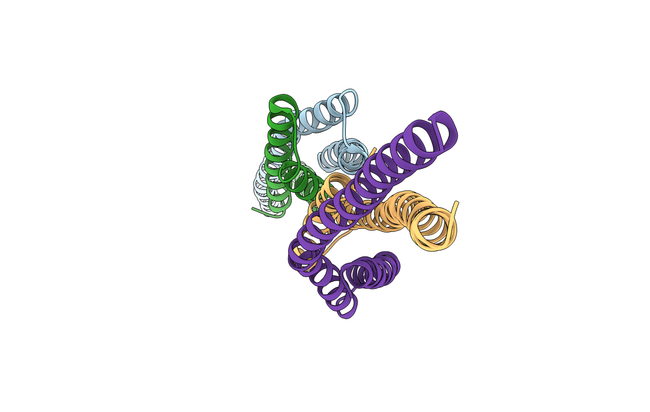 4MTX image