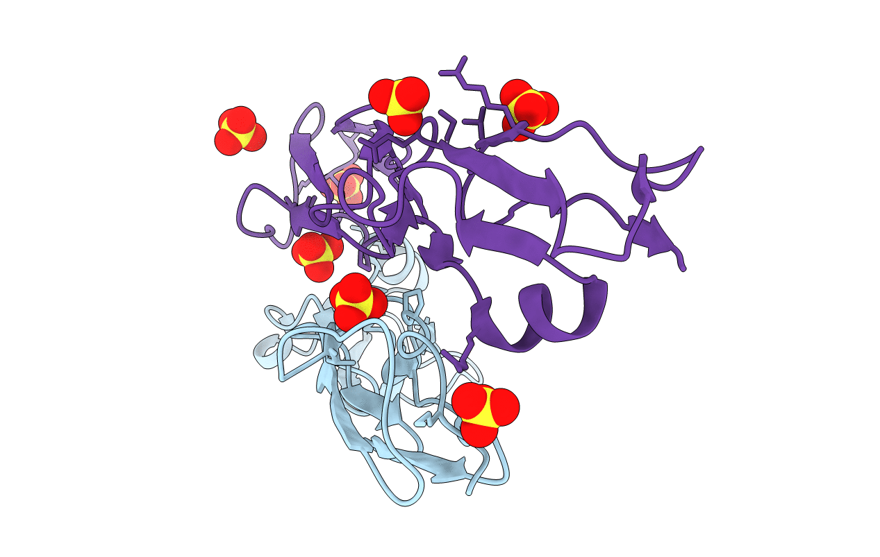 4MUC image