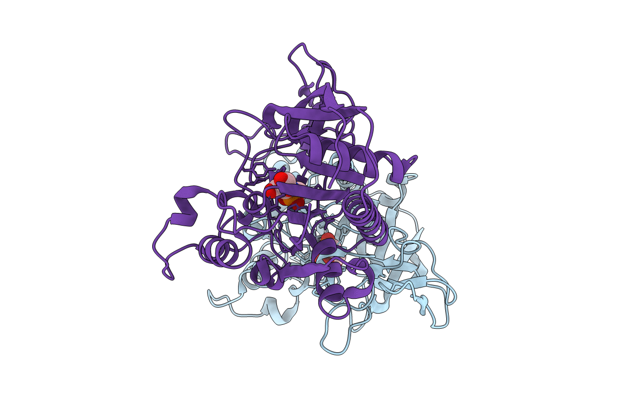 4MXU image