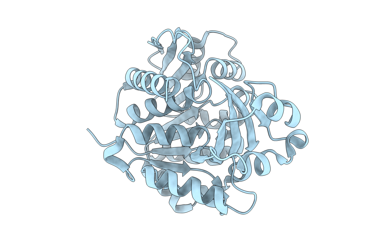4N08 image