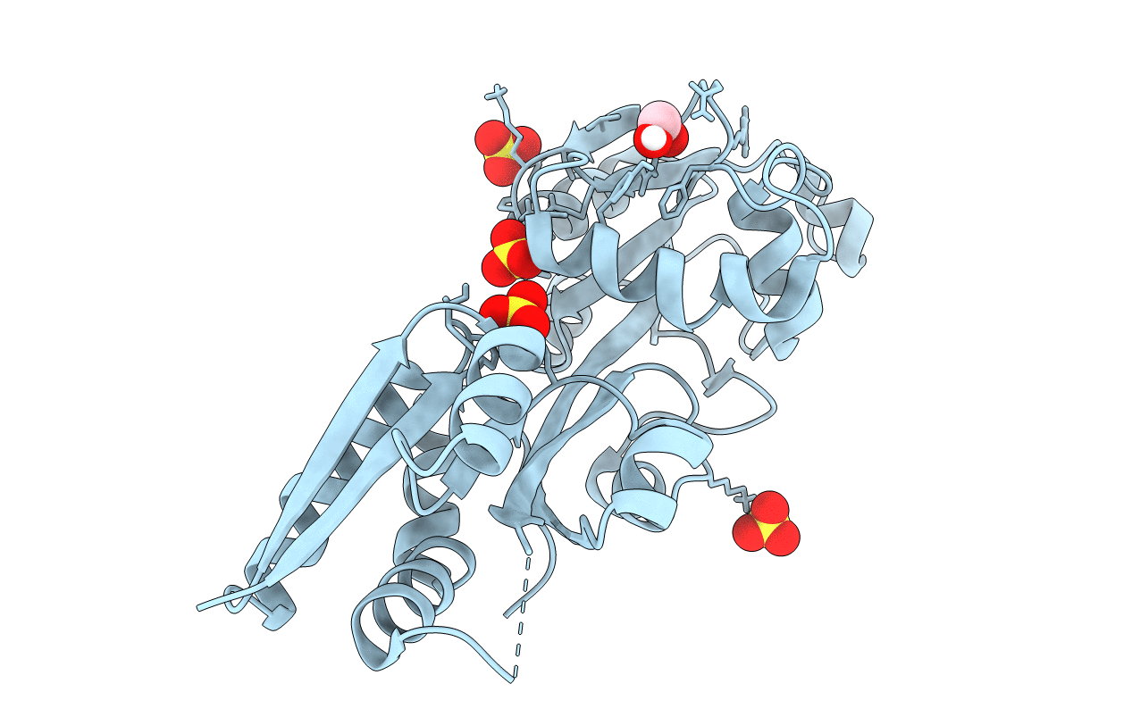 4N13 image