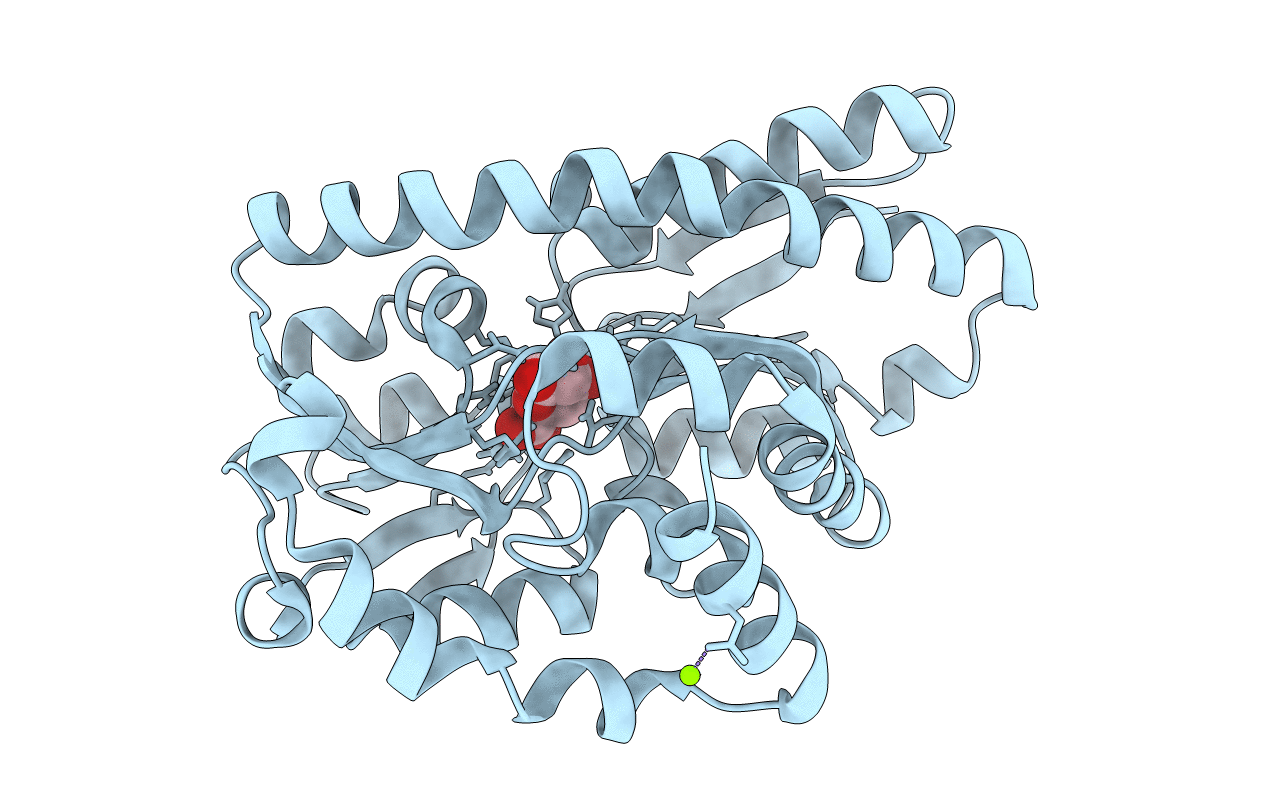 4N15 image