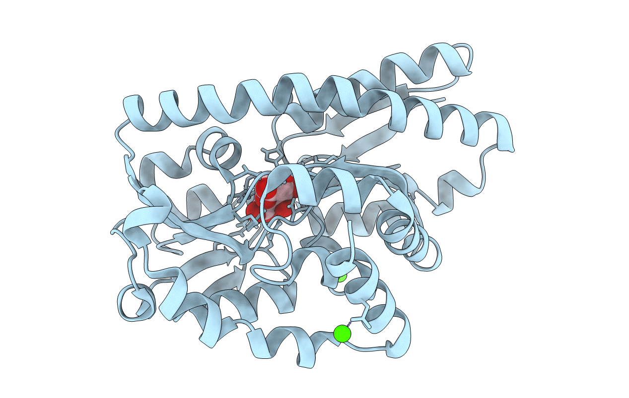 4N17 image