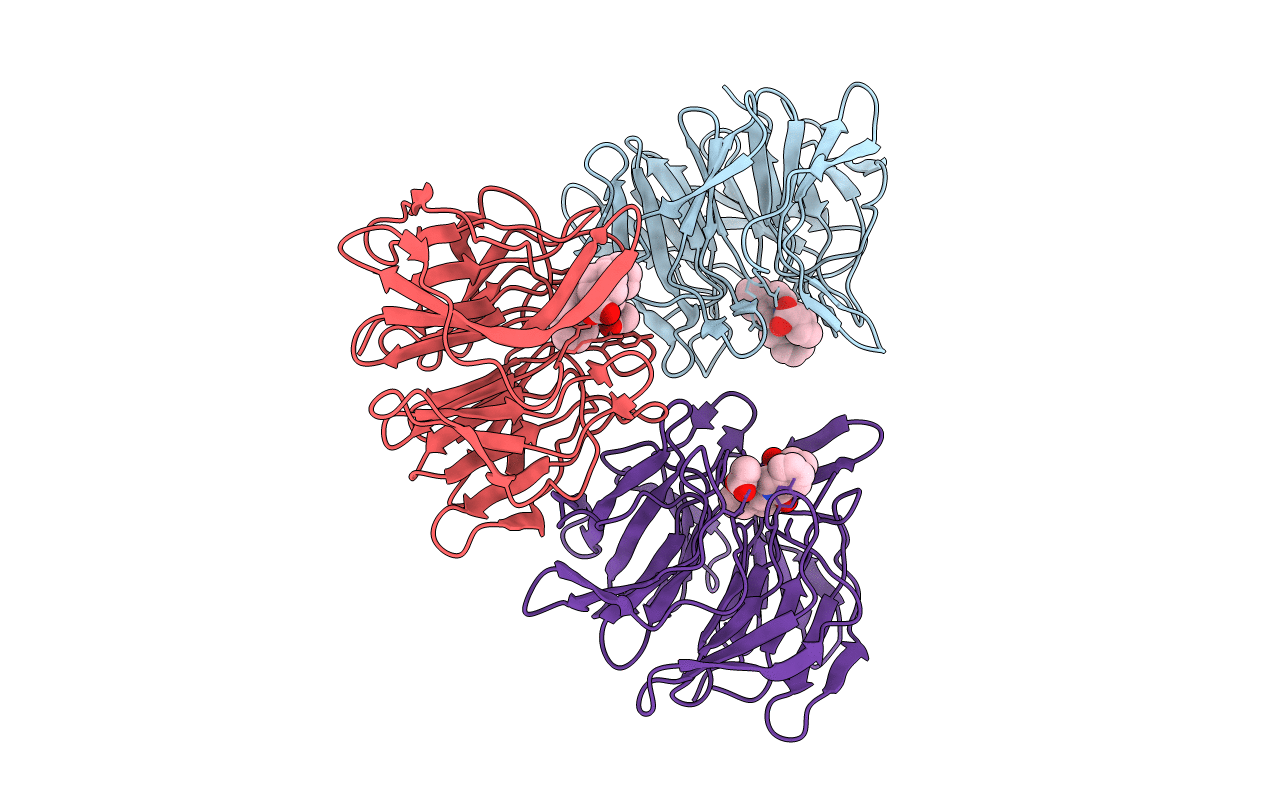 4N1B image