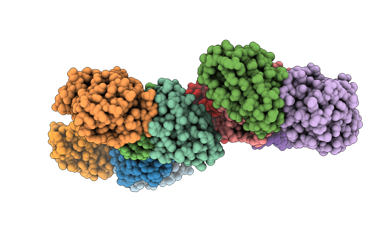 4N1E image