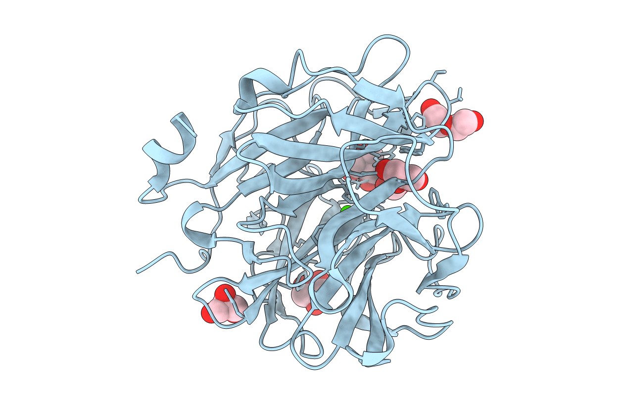 4N1I image