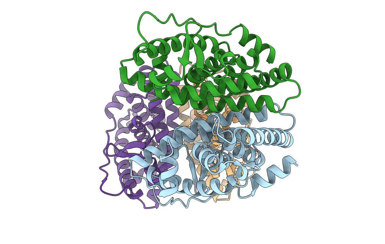 4N1Y image