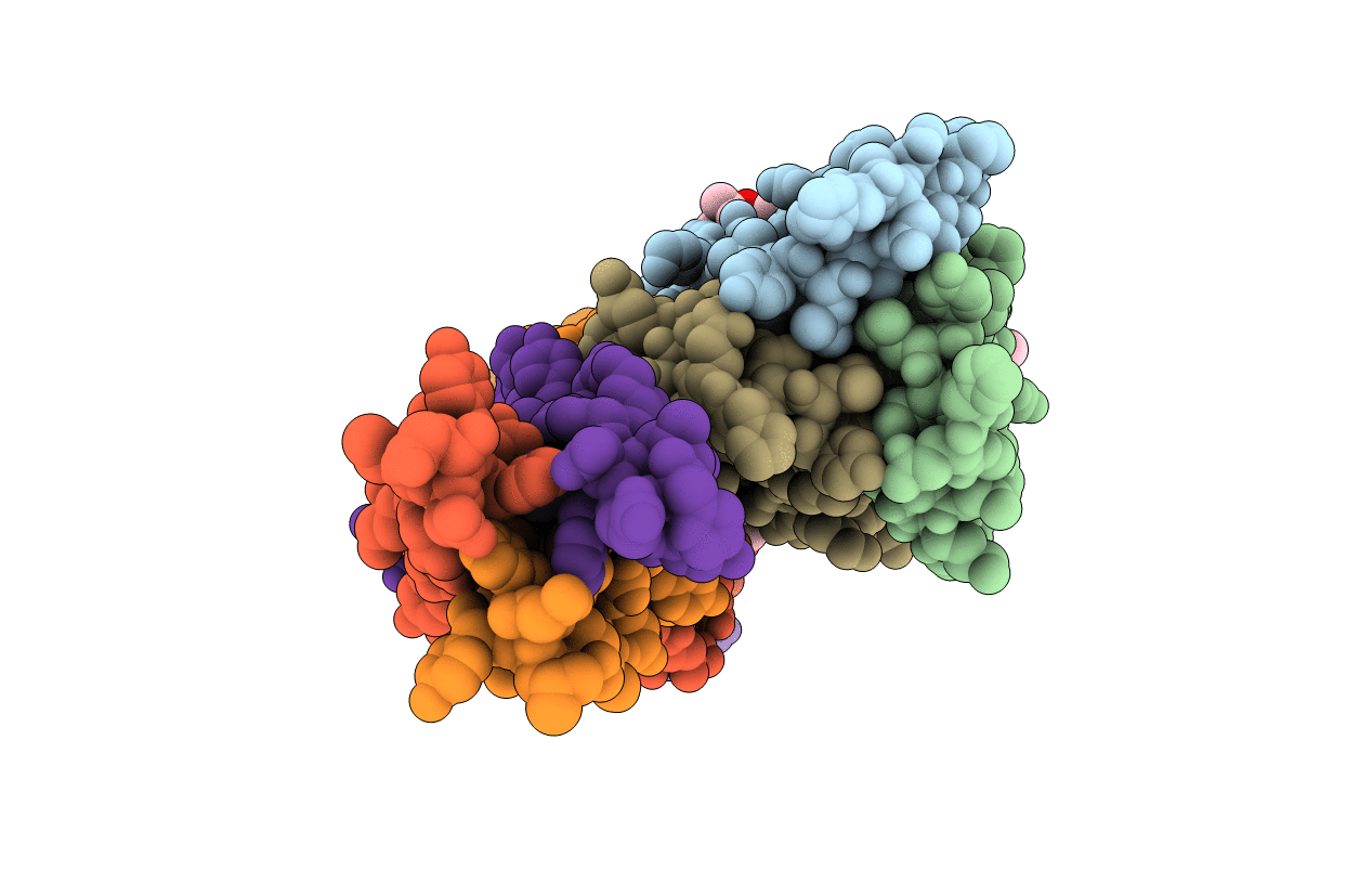 4N21 image