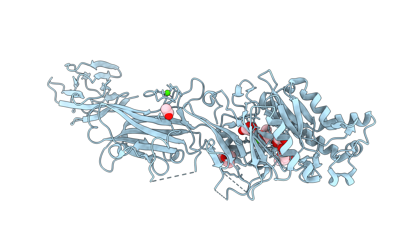 4N24 image