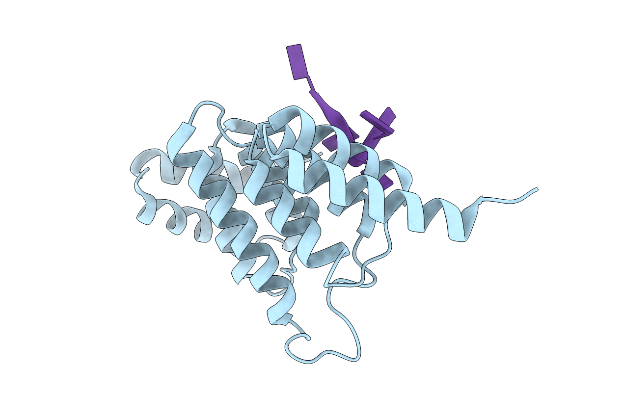 4N2S image