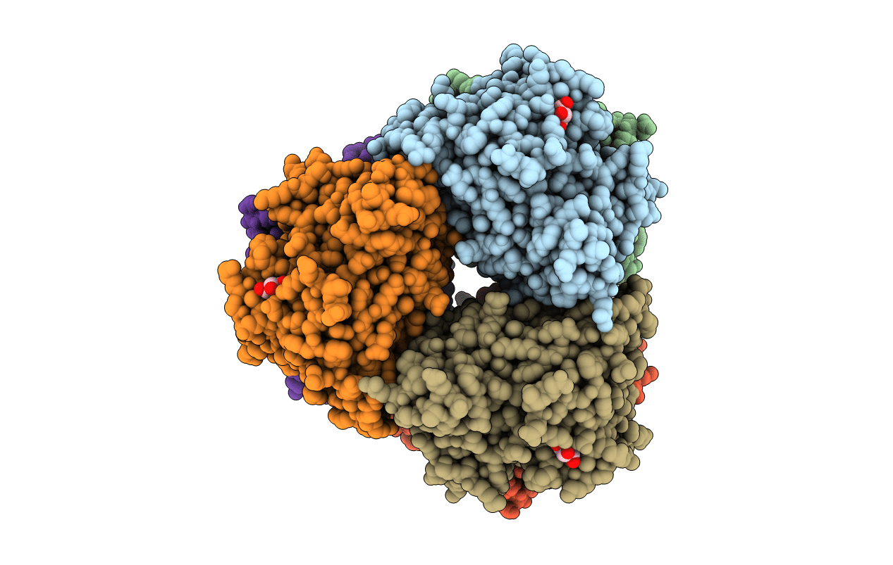 4N2X image