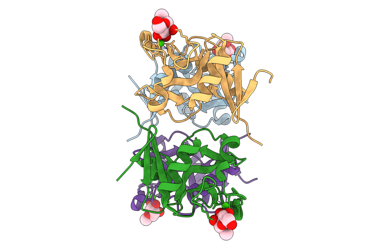4N37 image