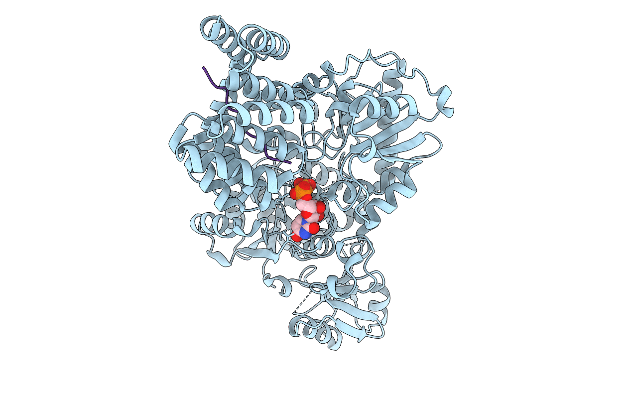 4N39 image