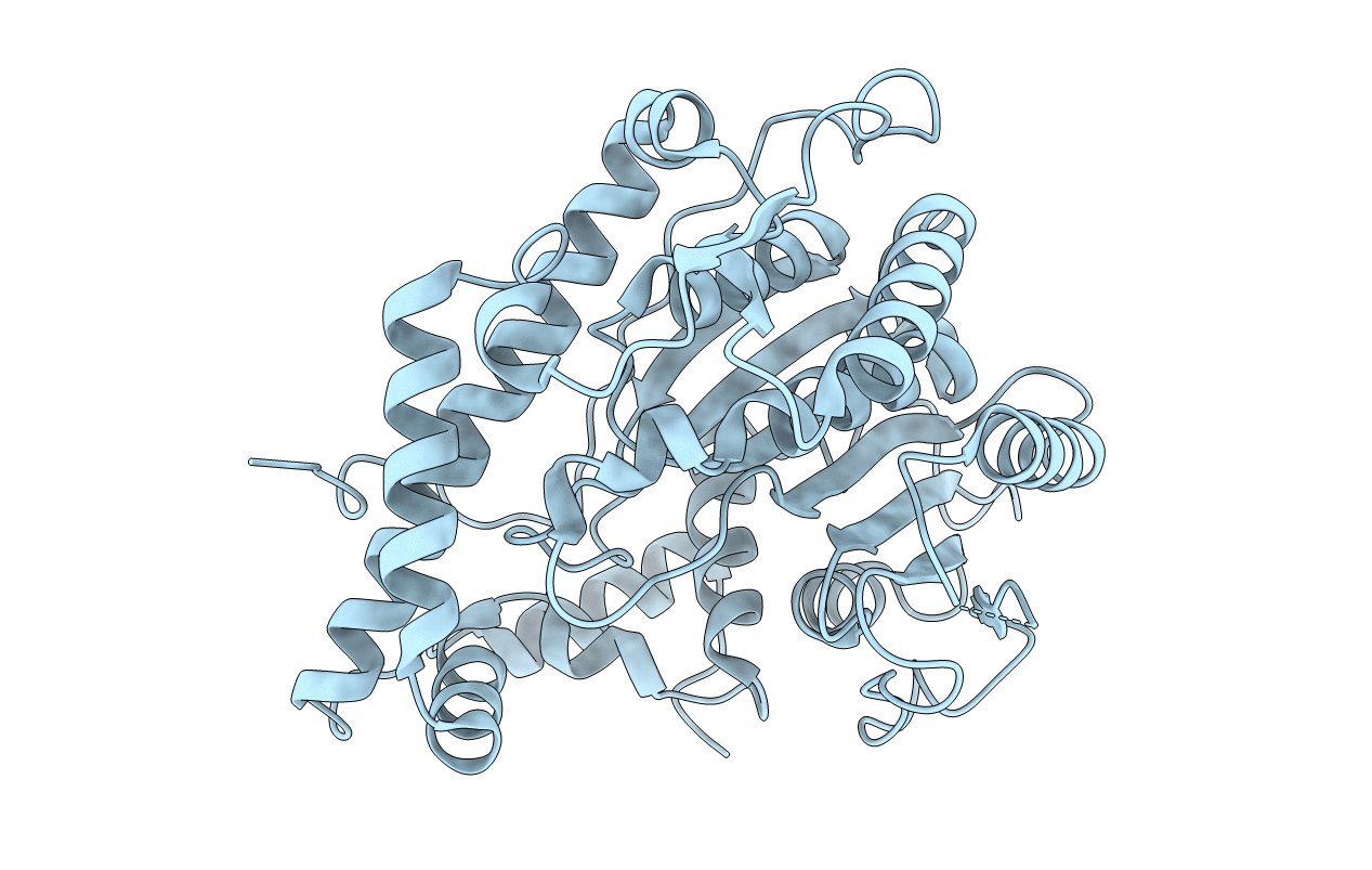 4N4A image